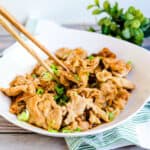 Japanese style pork stir fry with onions and sauce served on a white plate topped with toasted sesame seeds and chopped green onions.