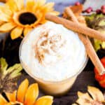 Pumpkin pie smoothie served in a cup with cinnamon sticks on top.