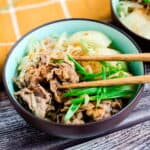 Japanese nikujaga served in a bowl topped with fresh green onions and red pepper.